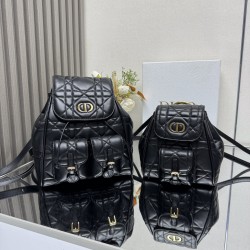 디올 카로백팩