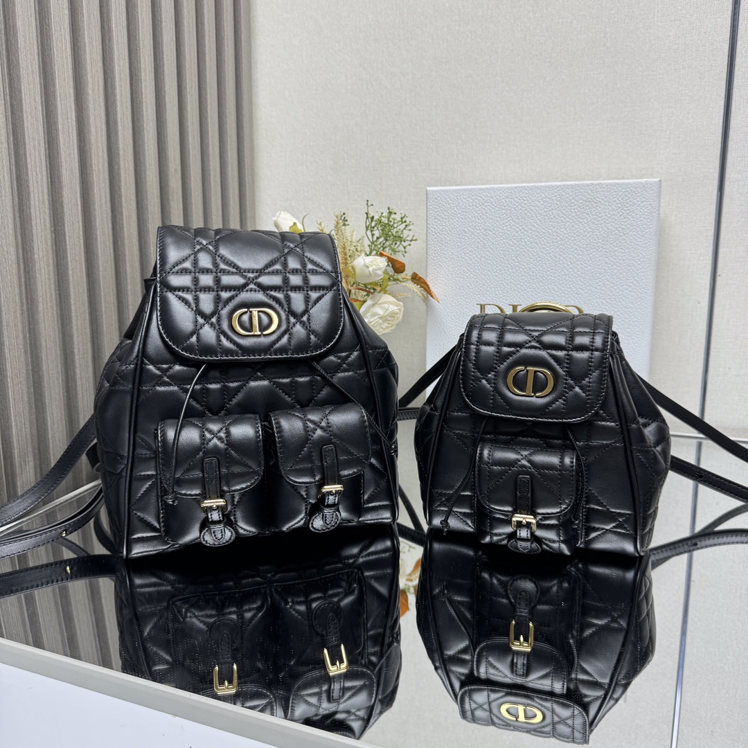 디올 카로백팩